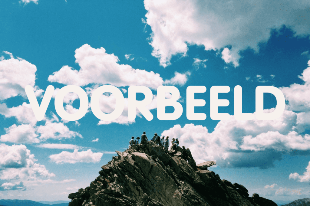 voorbeeld-7